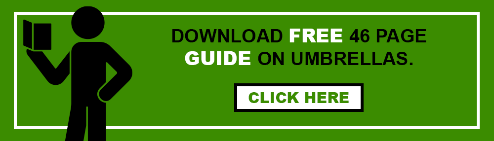 The Complete Umbrella Company Guide - Download Now